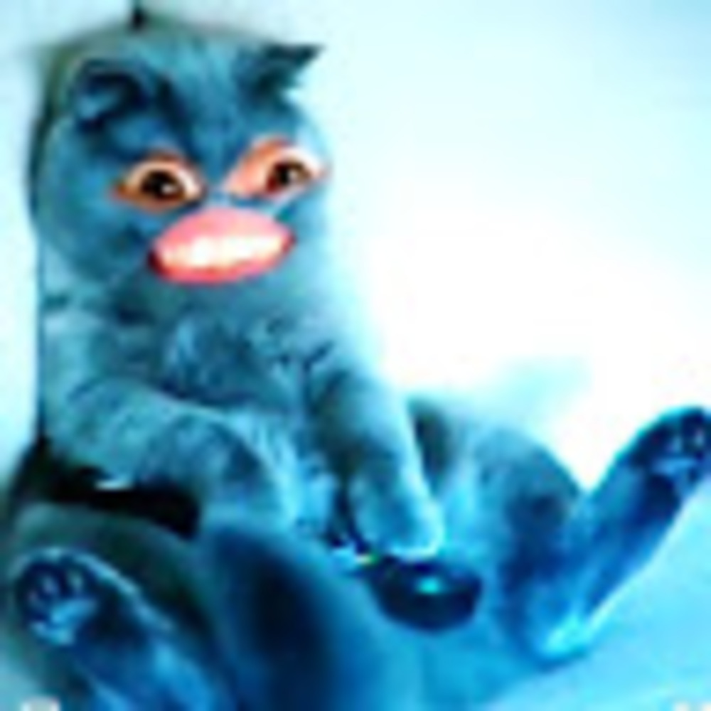 Meet your Posher, Cat on the couch